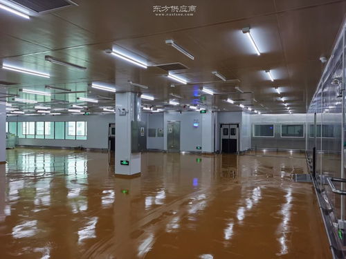 科技賦能 現(xiàn)代化罐頭食品生產(chǎn)凈化車間設(shè)計新理念與實踐